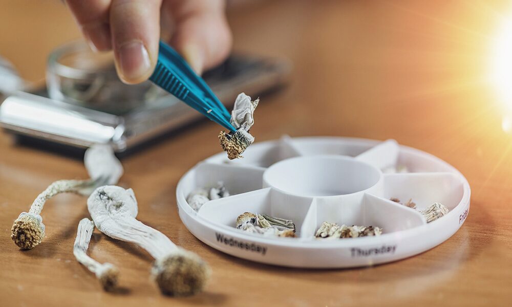 Photograph of magic mushroom doses being placed into a medicine sorter for an article on how to microdose magic mushrooms