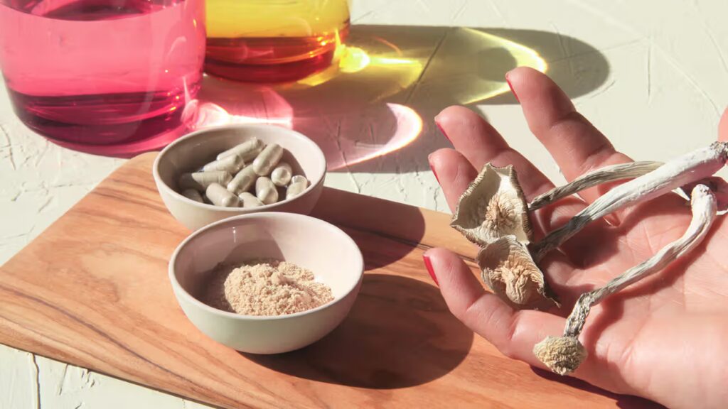 Microdosing Cycles, Protocols, & Schedules: What You Need to Know | Magic Mushrooms 101 | My Supply Co. Hand holding psilocybin mushrooms for an article on the difference between microdosing cycles, protocols, and schedules
