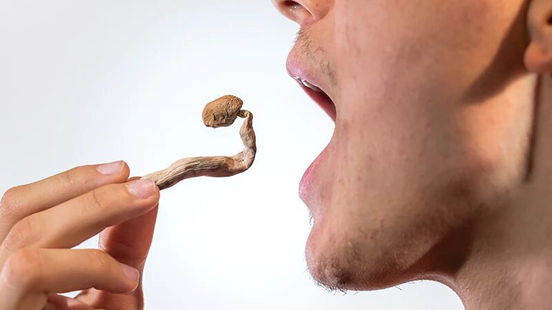 A photograph of a man that's about to eat a magic mushroom for guide to dosing magic mushrooms