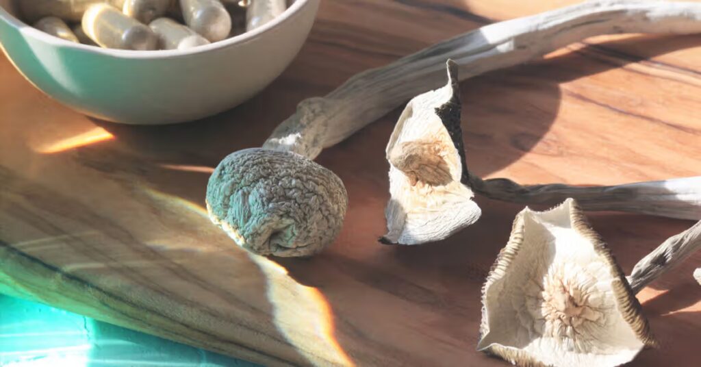 Photograph of magic mushrooms next to a bowl of magic mushroom capsules for a magic mushroom dosage guide