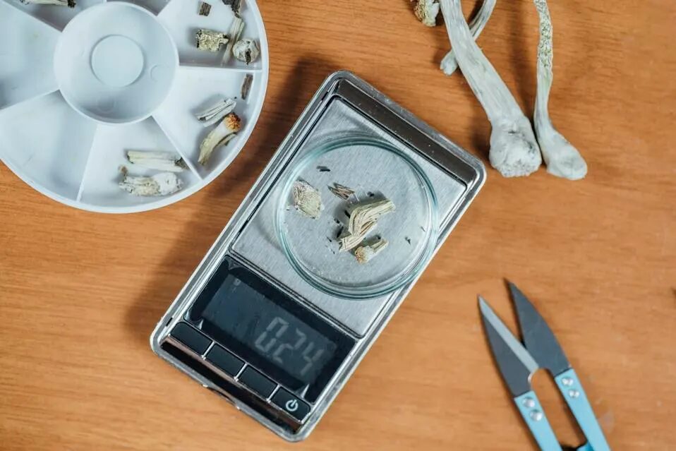 The Complete Guide to Microdosing Magic Mushrooms | Magic Mushrooms 101 | My Supply Co. Image of a microdose being weighed out on a digital scale for a guide on how to microdose magic mushrooms