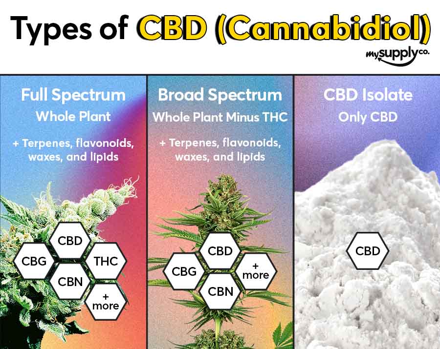 An infographic for an article on CBD isolate vs. full-spectrum CBD displaying the differences between 3 Types of CBD - CBD Isolate, Broad-Spectrum CBD, and Full-Spectrum CBD. The text reads: Full Spectrum: Whole Plant + Terpenes, flavonoids, waxes, and lipids. CBD, CBG, CBN, THC, + More. Broad-Spectrum: Whole Plant Minus THC + terpenes, flavonoids, waxes, and lipids. CBD Isolate: Only CBD