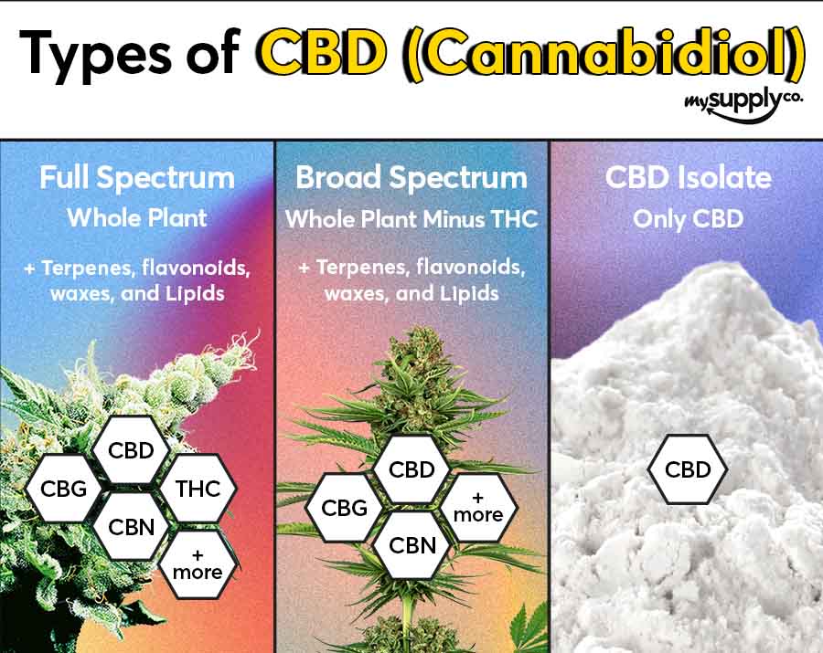 An infographic demonstrating the difference between full-spectrum CBD, broad spectrum CBD, and CBD isolate