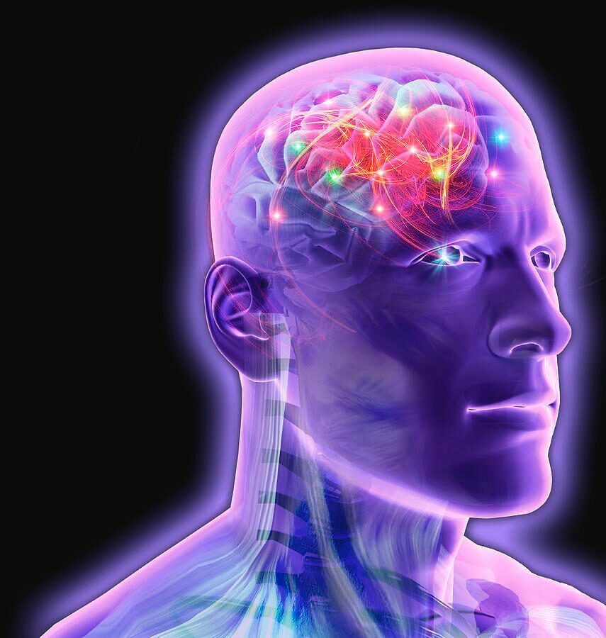 7 Ways CBD Actually Improves Brain Health and Performance | Cannabis 101 | My Supply Co. Digital art of a man from the shoulders up, his mind glowing, for an article about how CBD supports brain health & performance