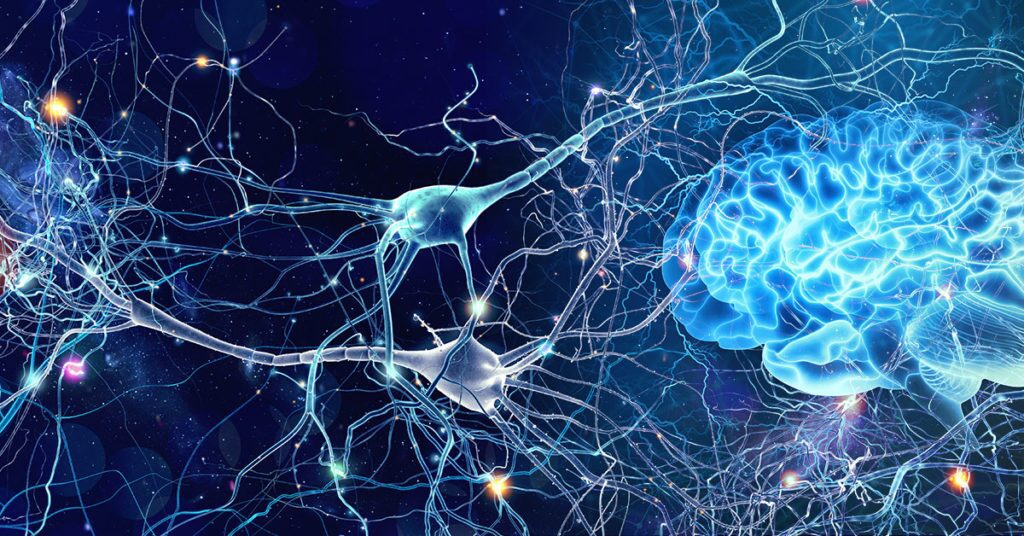 7 Ways CBD Actually Improves Brain Health and Performance | Cannabis 101 | My Supply Co. Digital art representing neuroplasticity for an article about how CBD supports brain health & performance