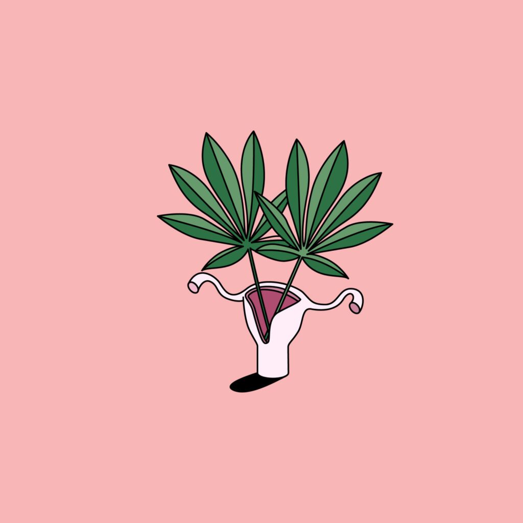 3 Ways to Use Cannabis for Period Pain | Wellness | My Supply Co.