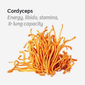 Cordyceps for energy, libido, stamina, and lung capacity - Ingredients in Energy Stack Psilocybin Mushroom Microdose Supplement
